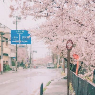 加快构建中国特色哲学社会科学