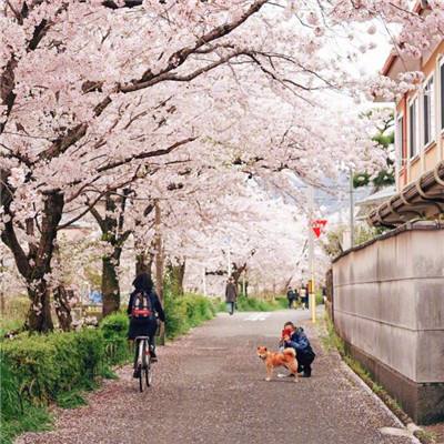 黄河大峡谷跻身5A级景区