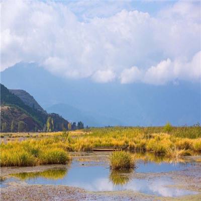 华东最大燃煤发电厂遭遇