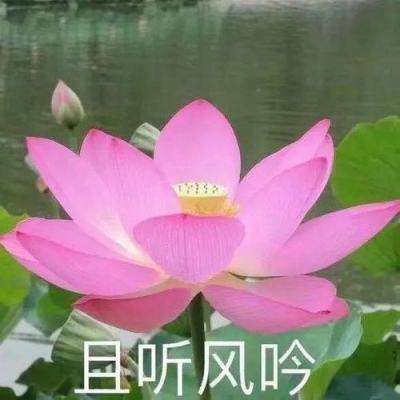 数藏故事丨无声诗与有声画，领略富春山水之美