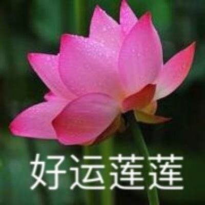 豪盛红木：传承与发展并重